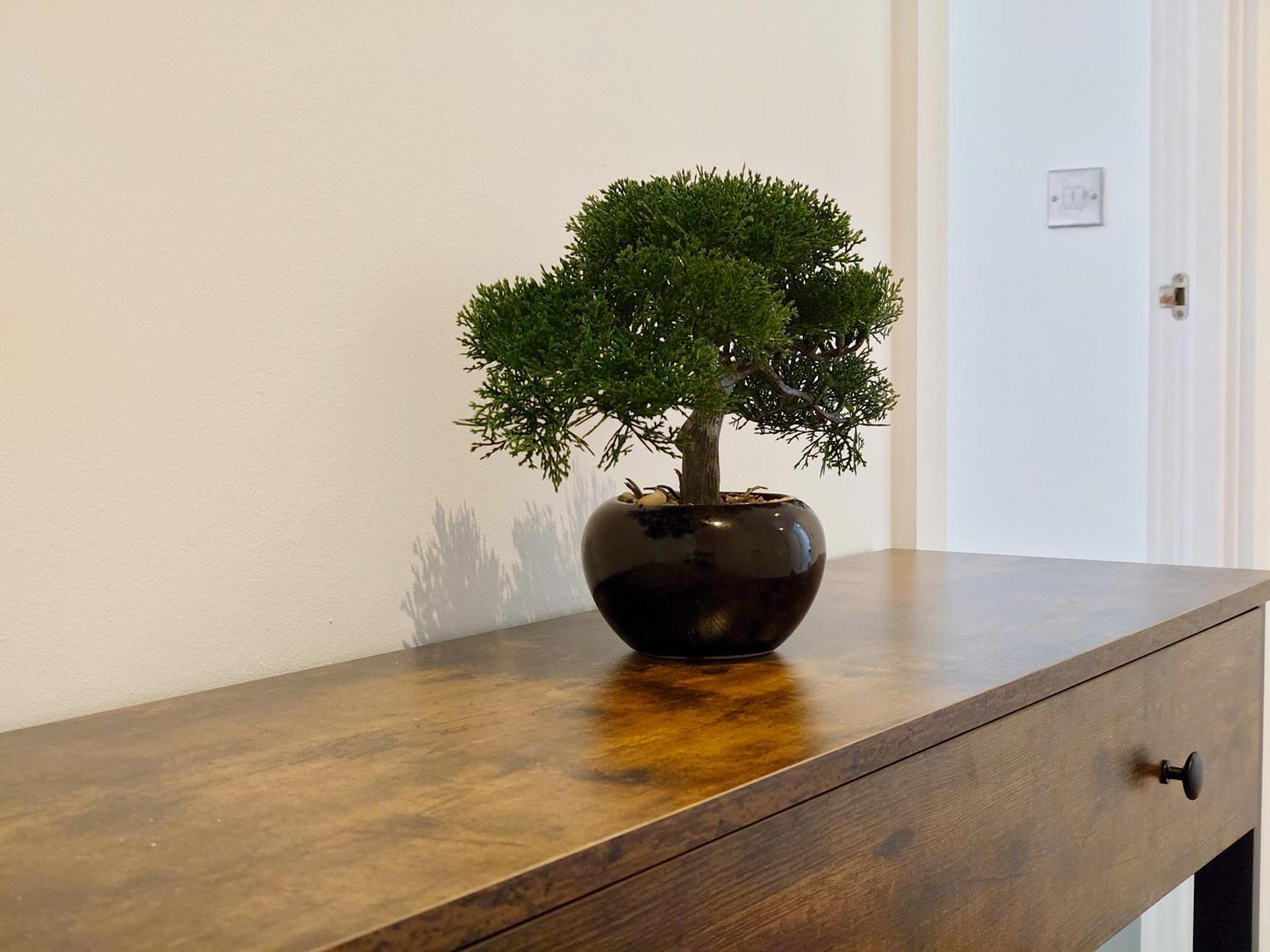 Fully Serviced Two Bed Apartment By Excel & O2 ロンドン エクステリア 写真